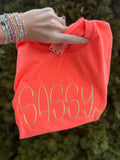 Sassy Embroidered short sleeve shirt