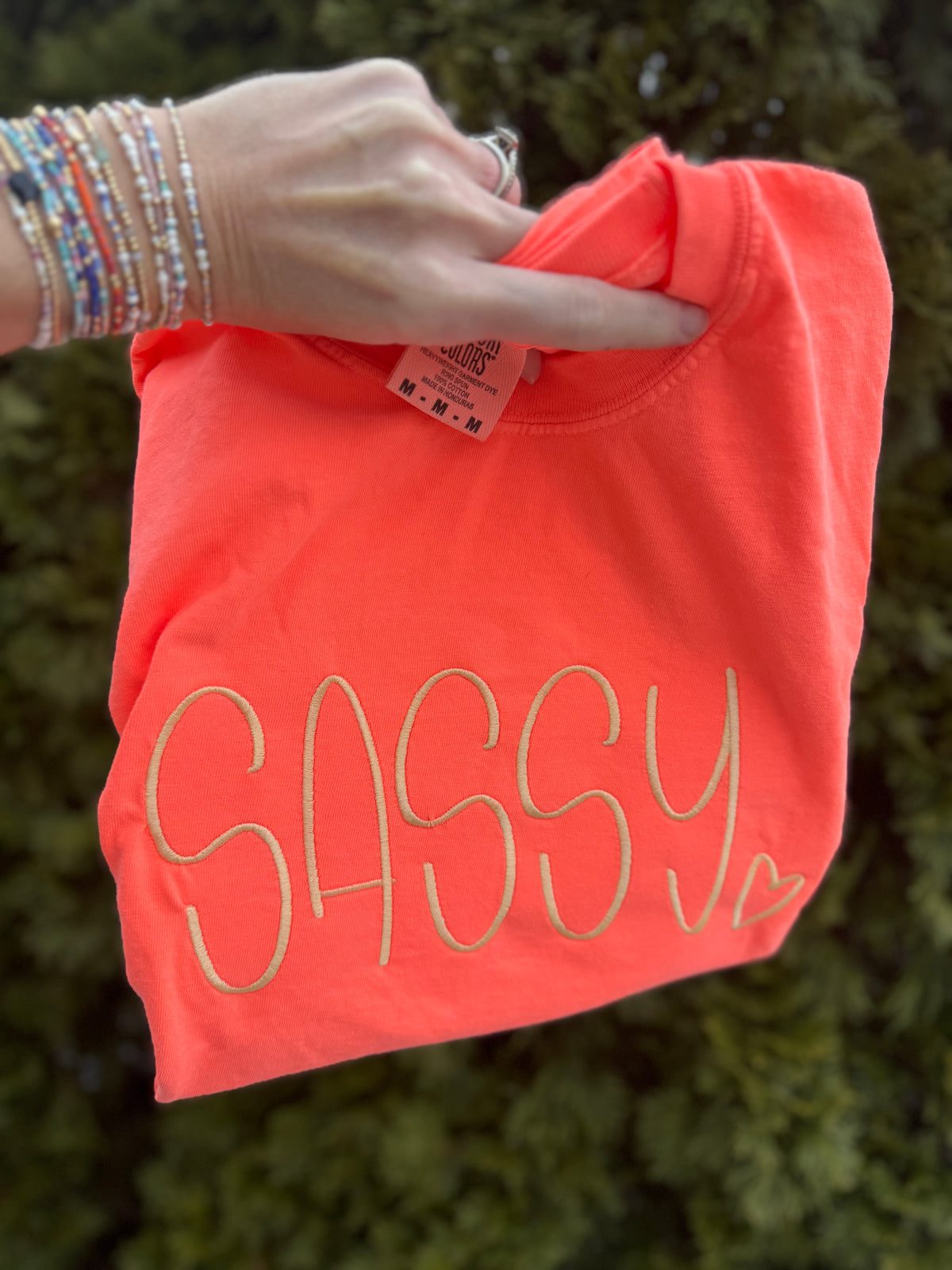 Sassy Embroidered short sleeve shirt