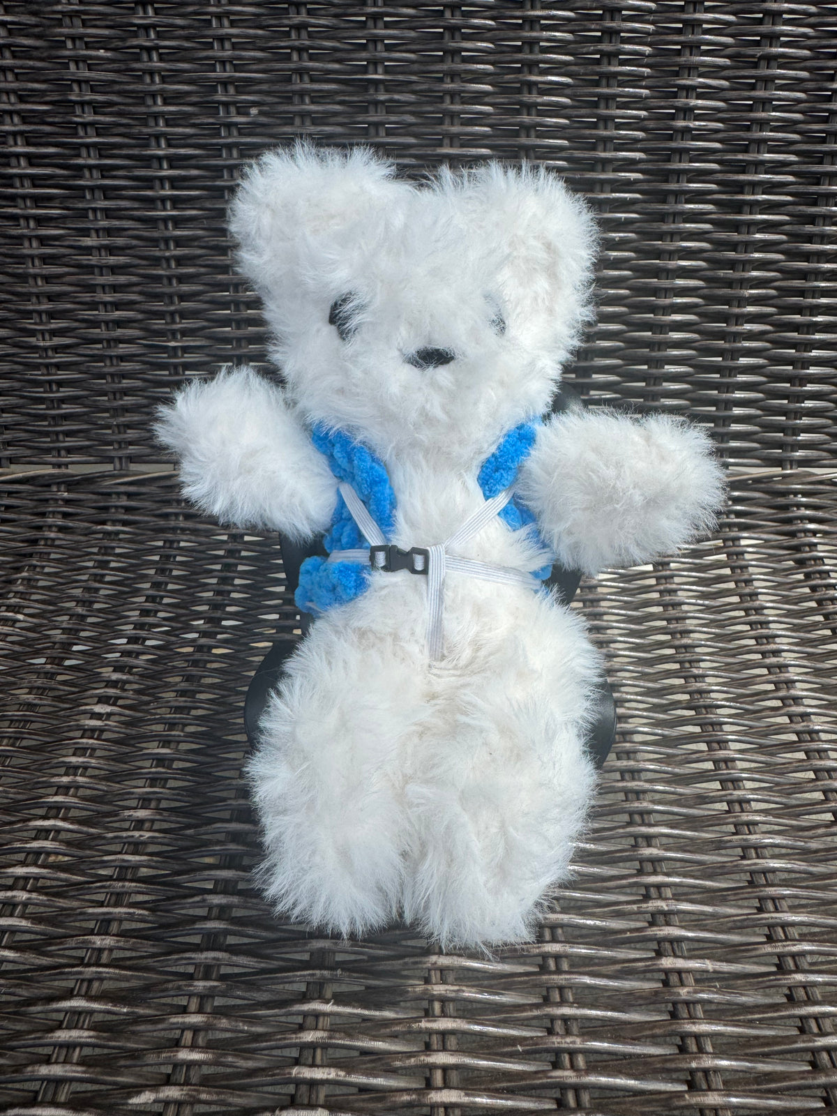Tag a long friend! Crocheted stuffie with vest and car seat