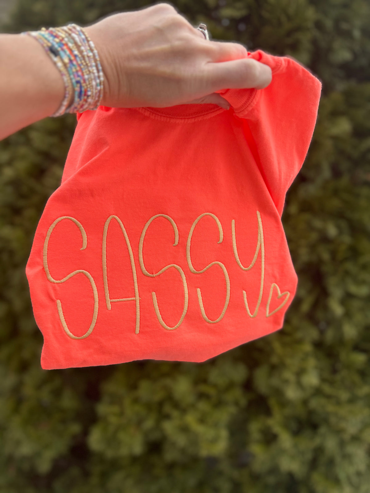 Sassy Embroidered short sleeve shirt