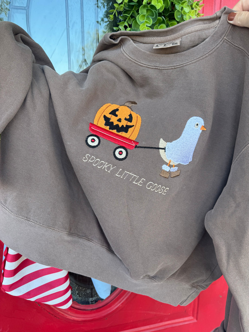 Spooky little goose embroidered shirt