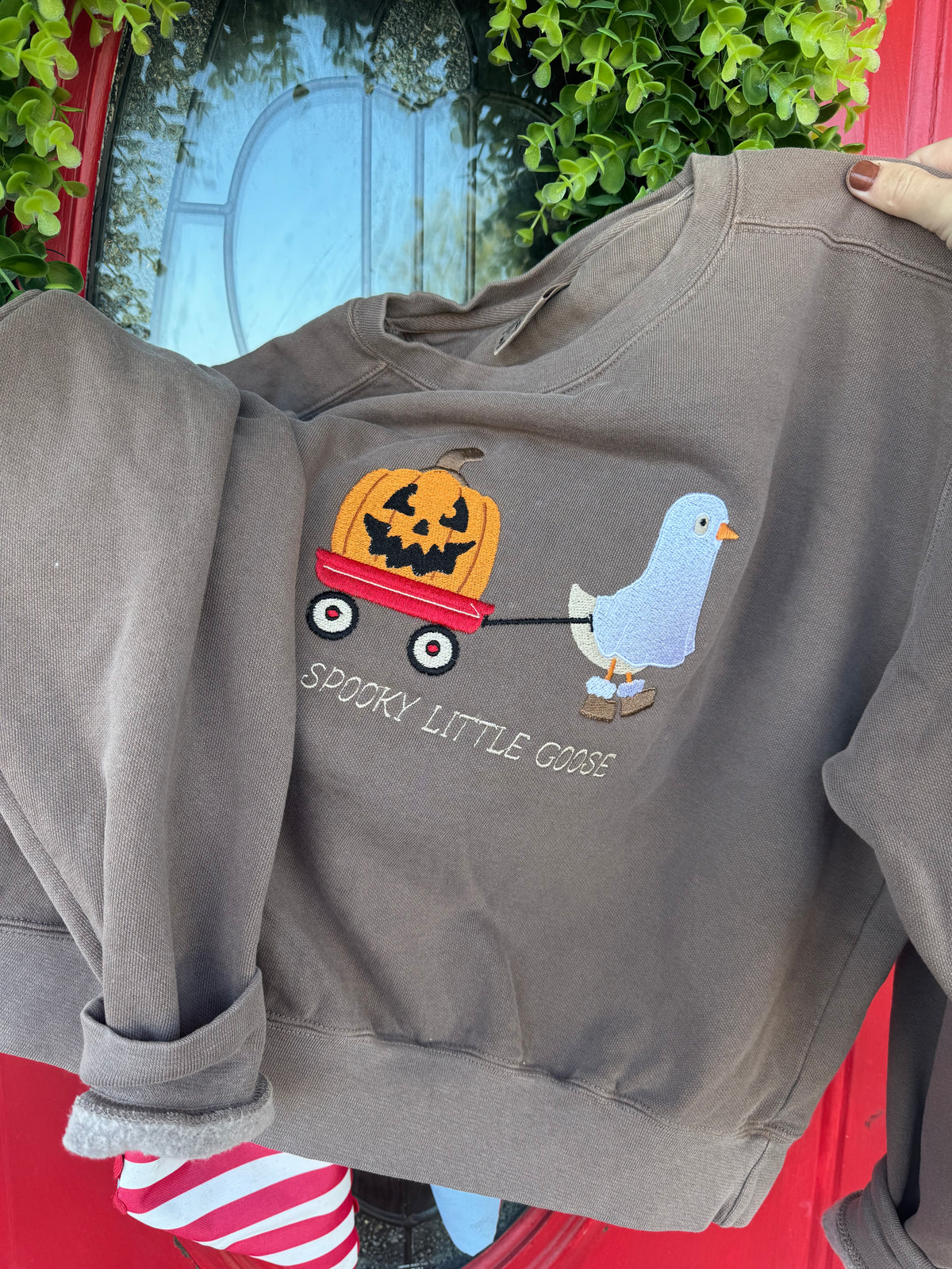 Spooky little goose embroidered shirt